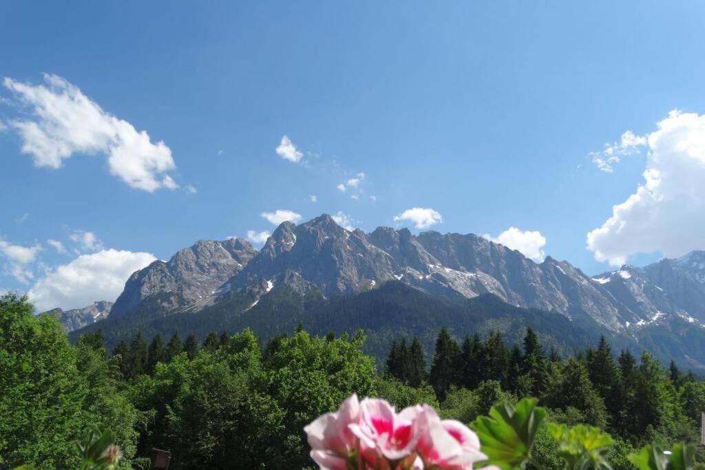 Ferienwohnung Zugspitze 格赖瑙 外观 照片